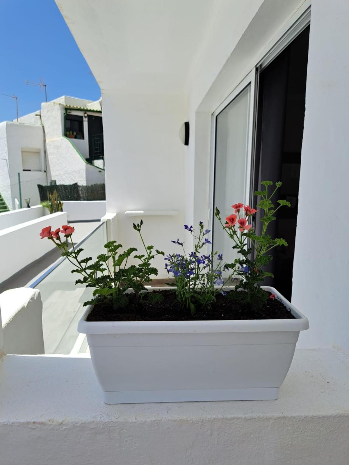 Appartement Casa Esterlita Tarajalejo